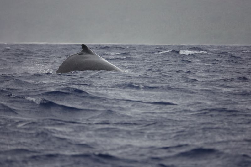 Viewing photos→2018→2018-09-04-0→060