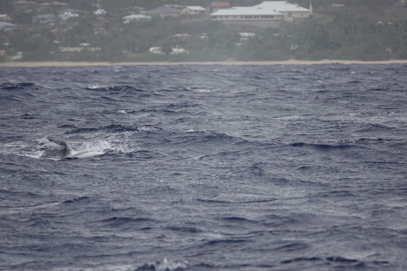 Viewing photos→2018→2018-09-04-0→062