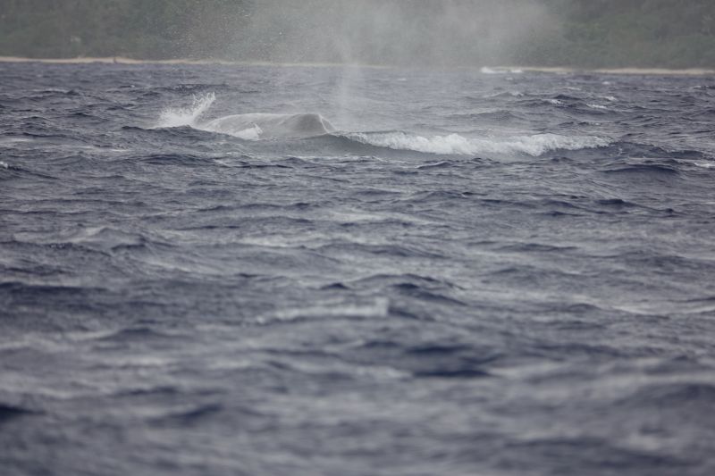 Viewing photos→2018→2018-09-04-0→064