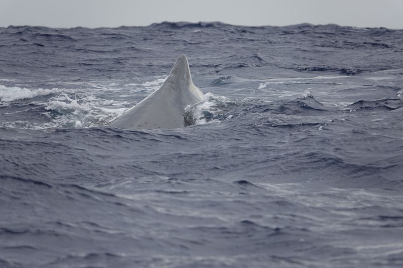 Viewing photos→2018→2018-09-04-0→070