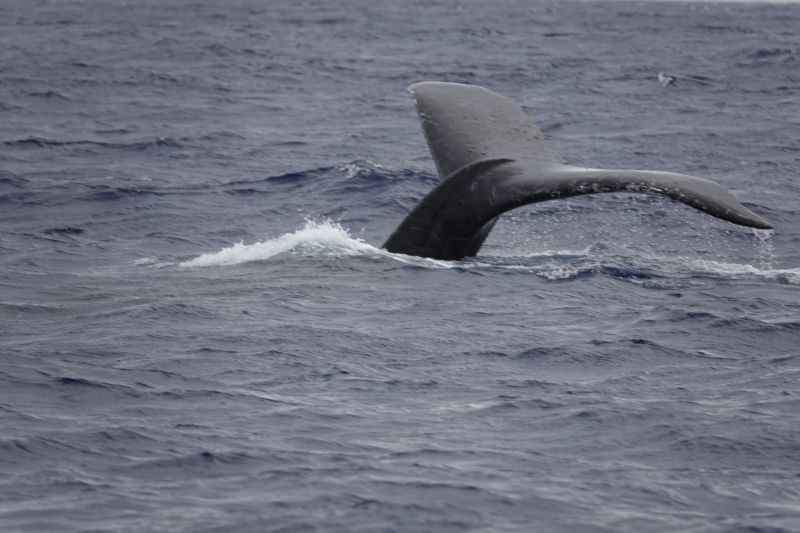 Viewing photos→2018→2018-09-04-0→071