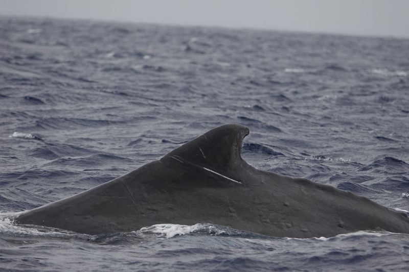 Viewing photos→2018→2018-09-04-0→073