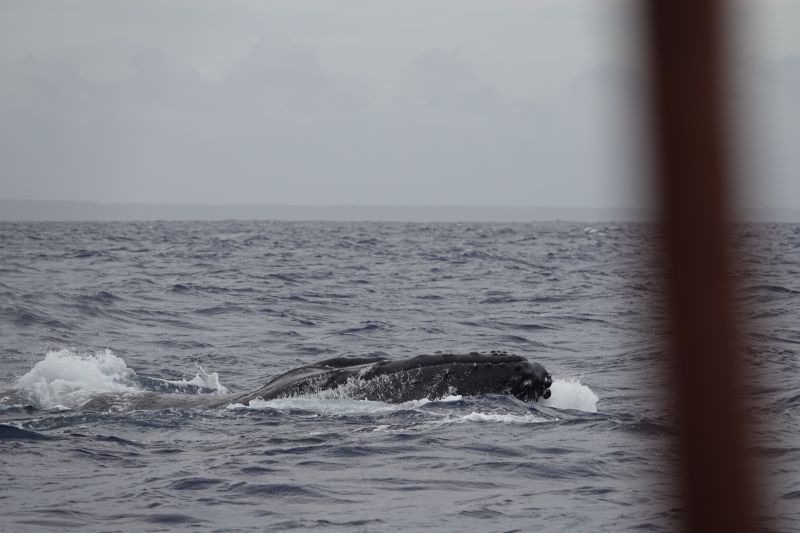 Viewing photos→2018→2018-09-04-0→080