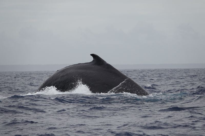 Viewing photos→2018→2018-09-04-0→081