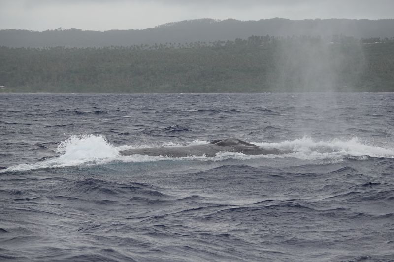 Viewing photos→2018→2018-09-04-0→085