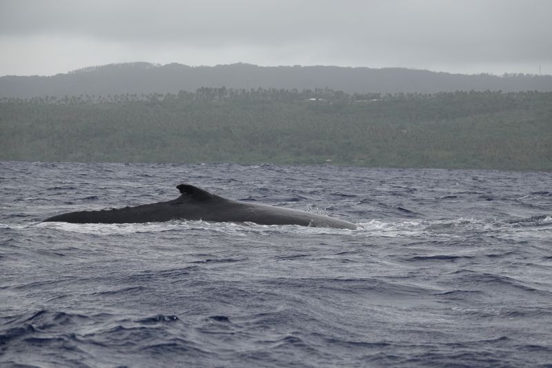 Viewing photos→2018→2018-09-04-0→086