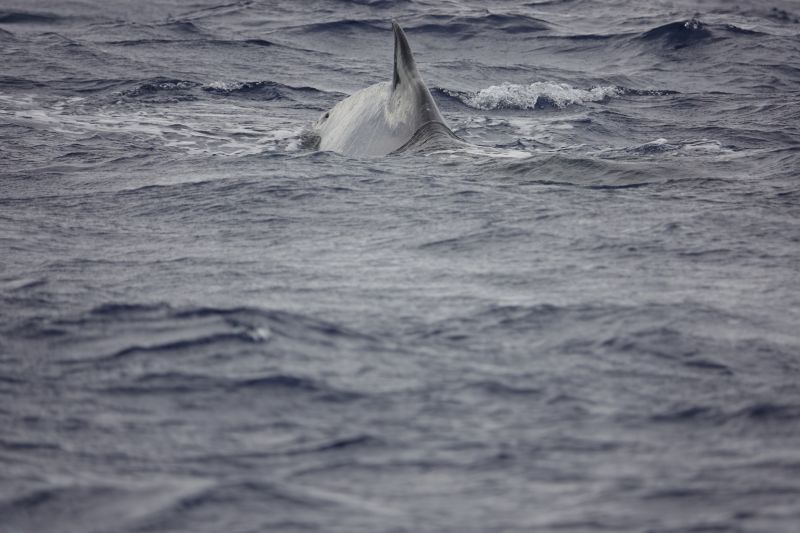 Viewing photos→2018→2018-09-04-0→088