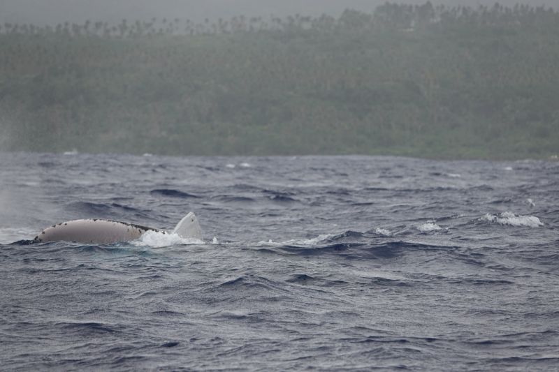 Viewing photos→2018→2018-09-04-0→091