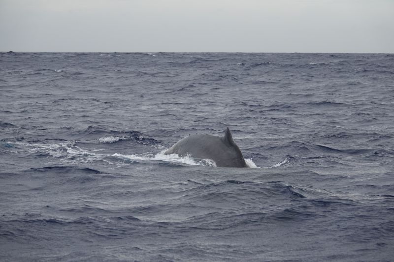 Viewing photos→2018→2018-09-04-0→094