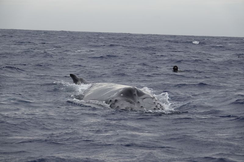 Viewing photos→2018→2018-09-04-0→100