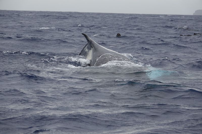 Viewing photos→2018→2018-09-04-0→101