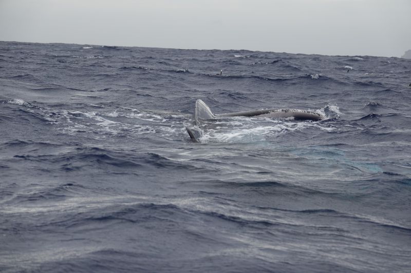 Viewing photos→2018→2018-09-04-0→102