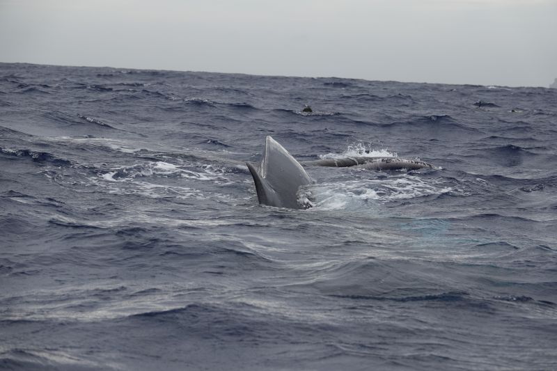 Viewing photos→2018→2018-09-04-0→103