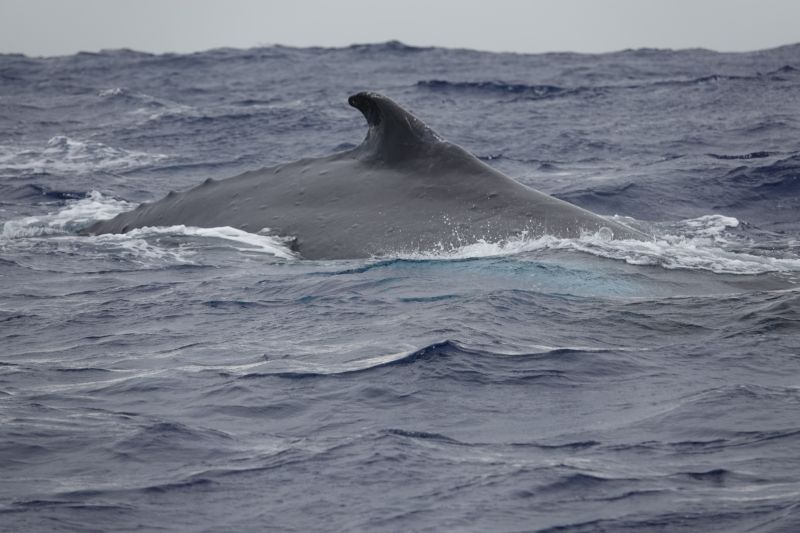 Viewing photos→2018→2018-09-04-0→105