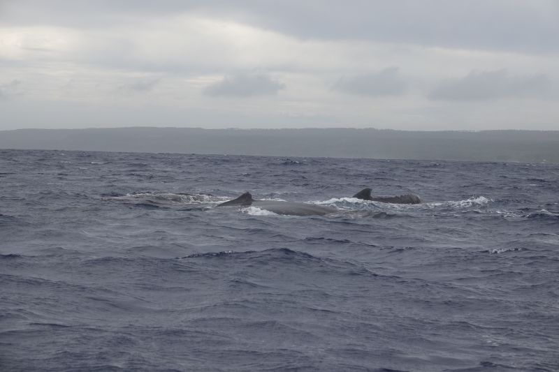 Viewing photos→2018→2018-09-04-0→108