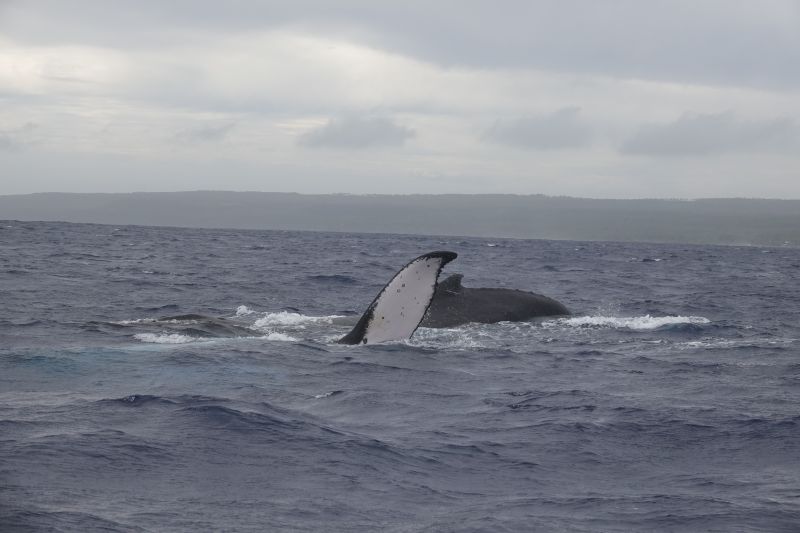 Viewing photos→2018→2018-09-04-0→111