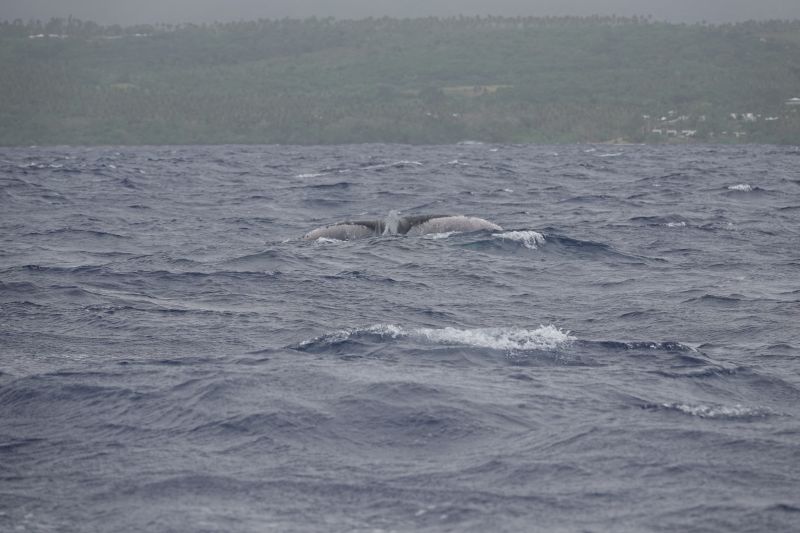 Viewing photos→2018→2018-09-04-0→116