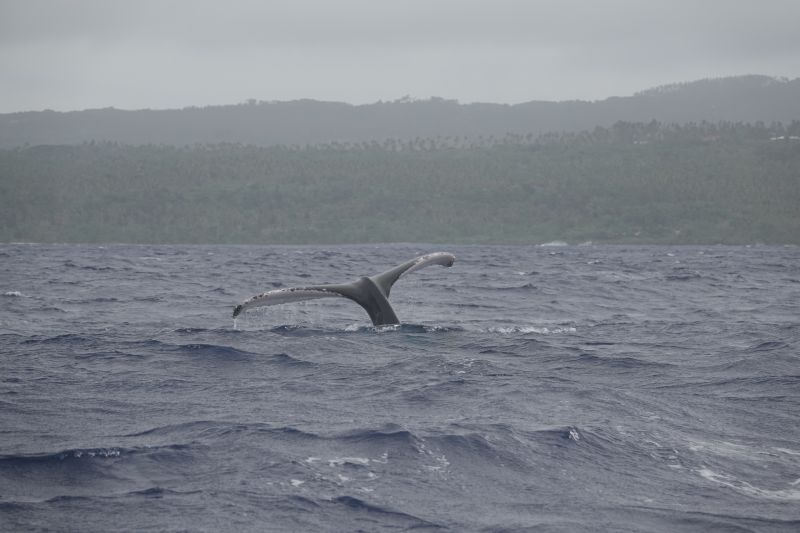 Viewing photos→2018→2018-09-04-0→118