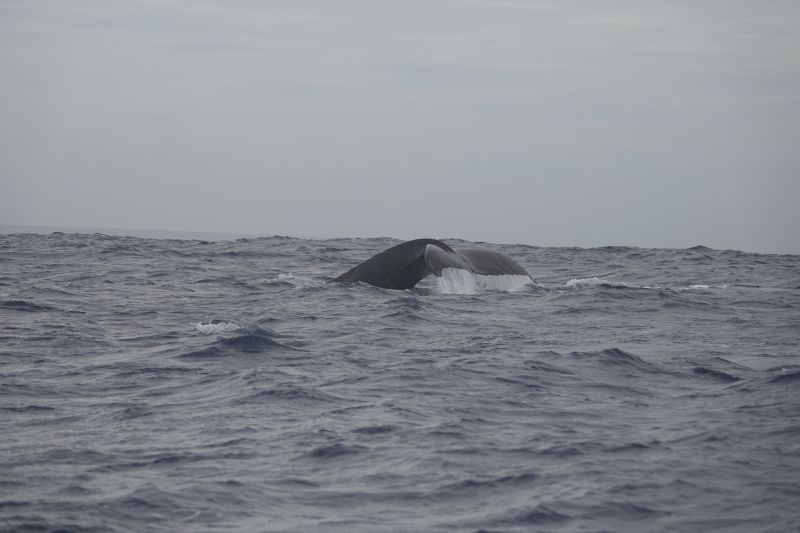 Viewing photos→2018→2018-09-04-0→121