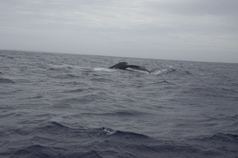 Viewing photos→2018→2018-09-04-0→125