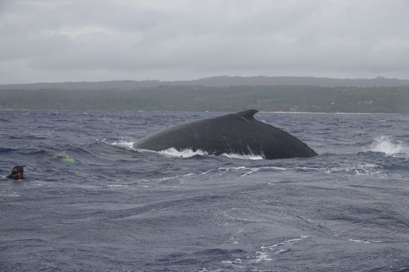 Viewing photos→2018→2018-09-04-0→128