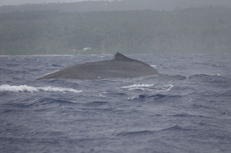 Viewing photos→2018→2018-09-04-0→132