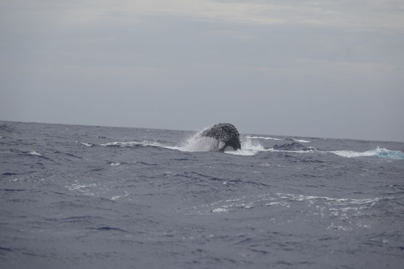 Viewing photos→2018→2018-09-04-0→134