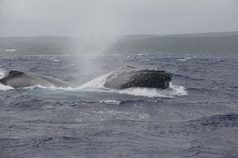 Viewing photos→2018→2018-09-04-0→139