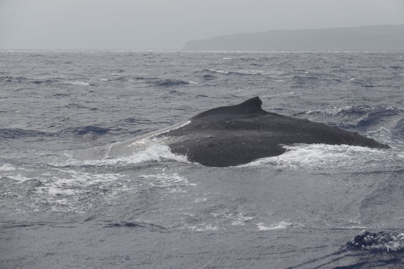 Viewing photos→2018→2018-09-04-0→140