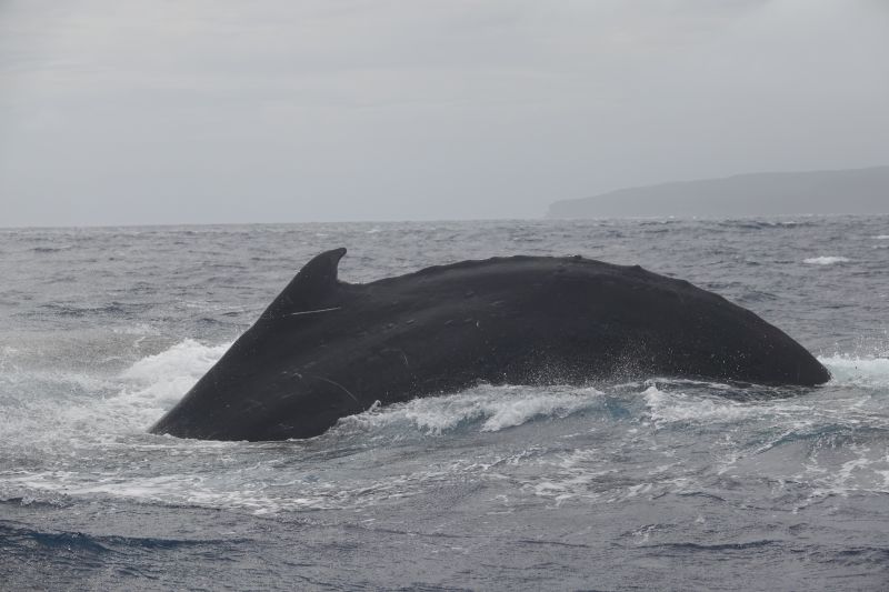 Viewing photos→2018→2018-09-04-0→141