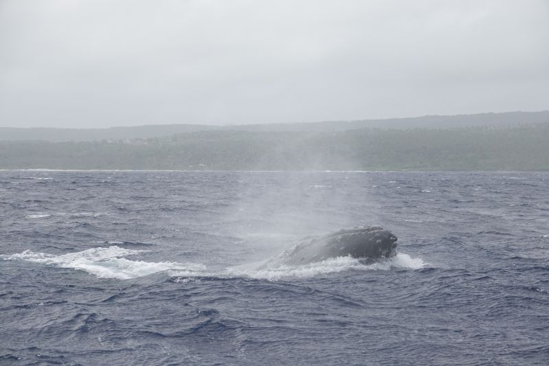 Viewing photos→2018→2018-09-04-0→144