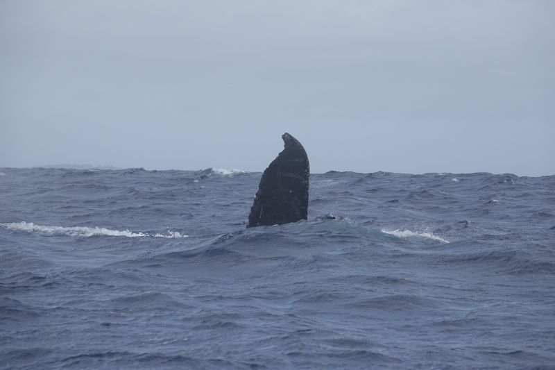 Viewing photos→2018→2018-09-04-0→148