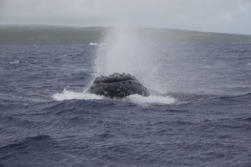 Viewing photos→2018→2018-09-04-0→150