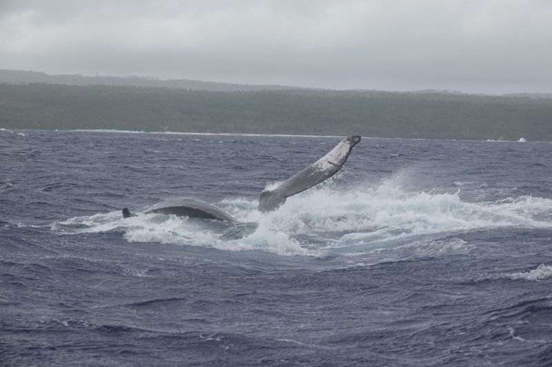 Viewing photos→2018→2018-09-04-0→153