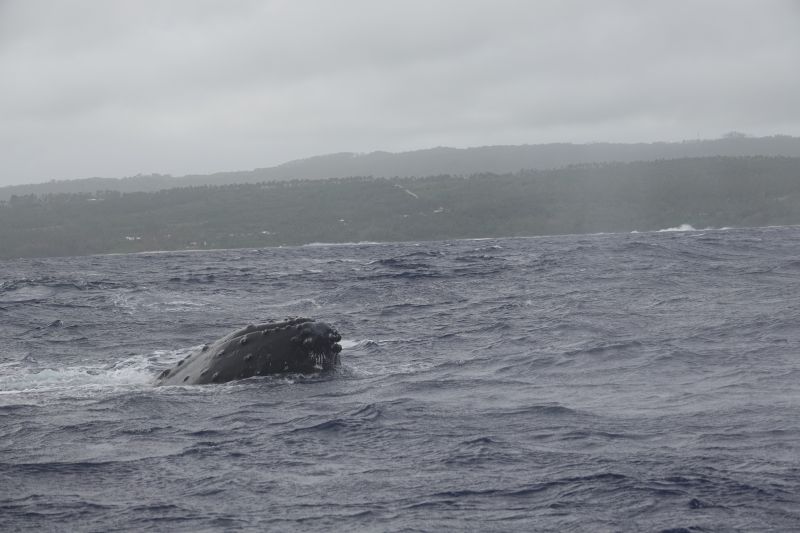 Viewing photos→2018→2018-09-04-0→155