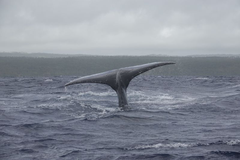 Viewing photos→2018→2018-09-04-0→158