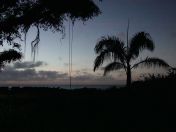 09.jpg - 2018:09:04 06:00:15