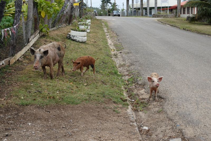 Viewing photos→2018→2018-09-04-1→25