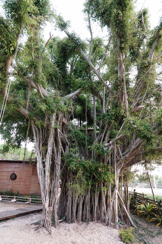 Viewing photos→2018→2018-09-04-1→28