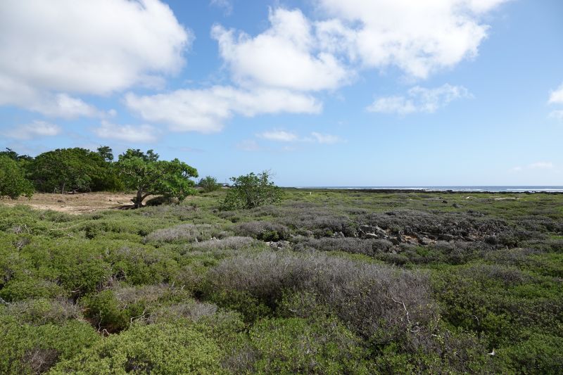 Viewing photos→2018→2018-09-04-2→001