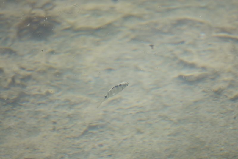 Viewing photos→2018→2018-09-04-2→003