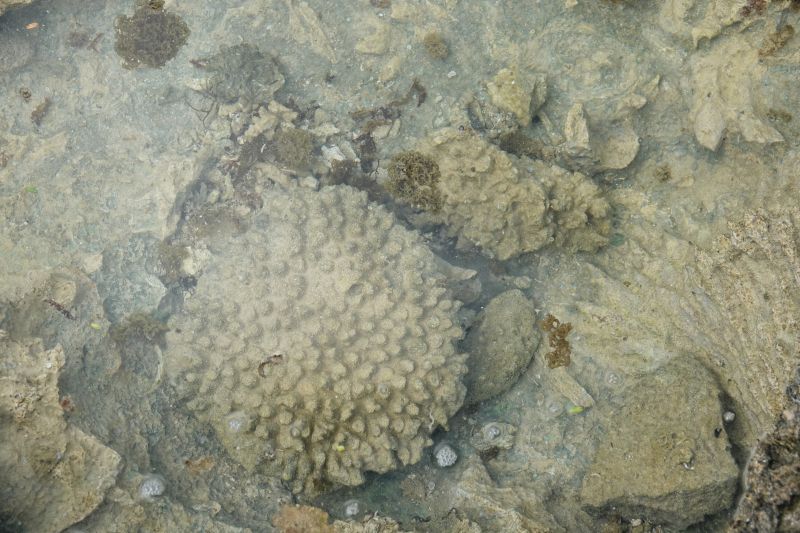 Viewing photos→2018→2018-09-04-2→005