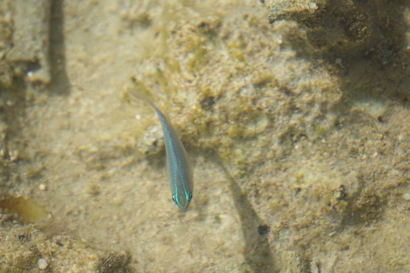 Viewing photos→2018→2018-09-04-2→006