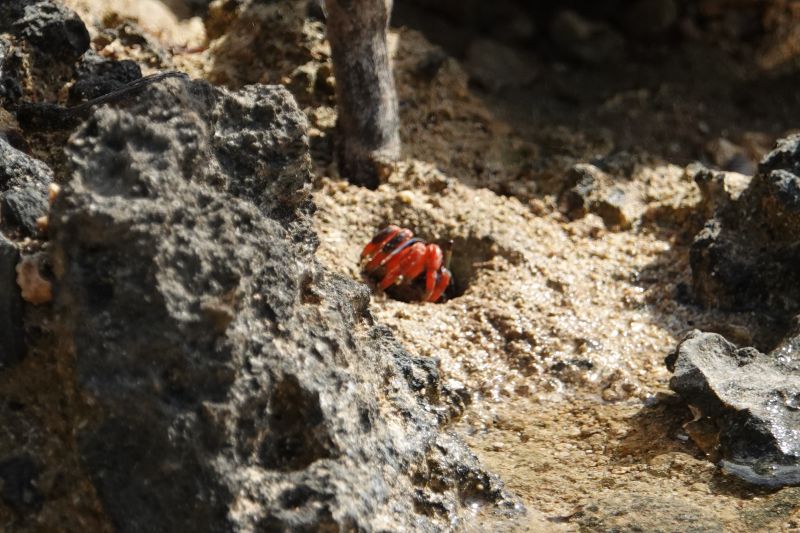 Viewing photos→2018→2018-09-04-2→010