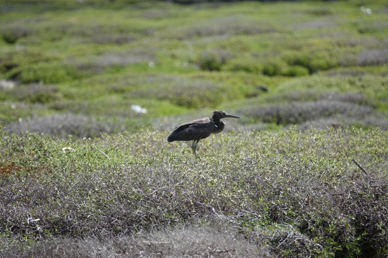 Viewing photos→2018→2018-09-04-2→012