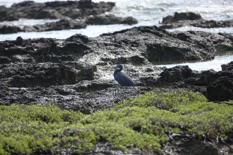 Viewing photos→2018→2018-09-04-2→014