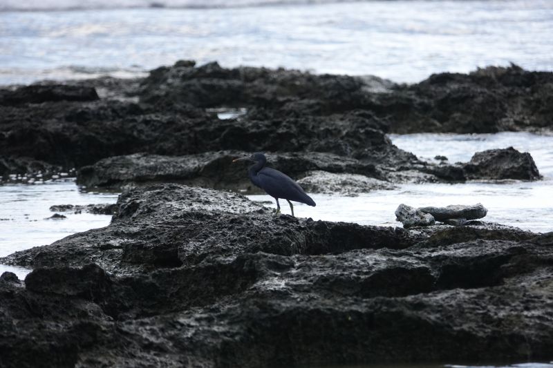 Viewing photos→2018→2018-09-04-2→017