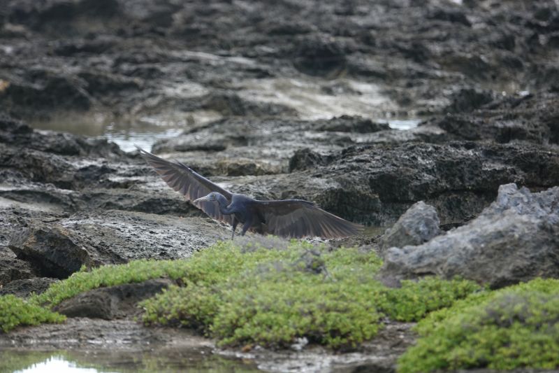 Viewing photos→2018→2018-09-04-2→018