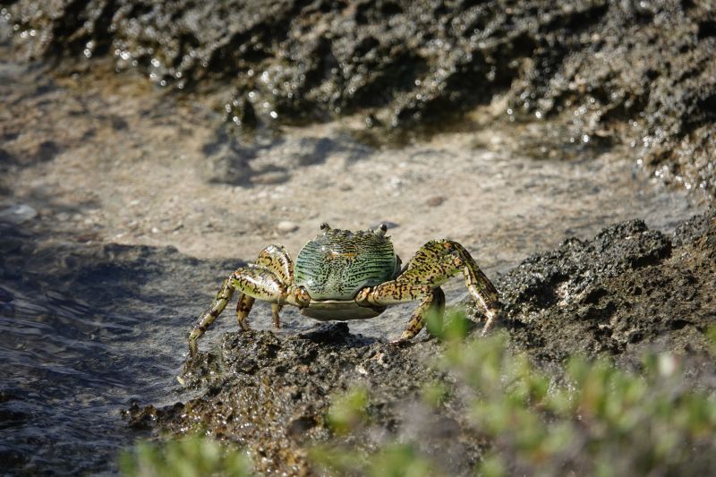 Viewing photos→2018→2018-09-04-2→019