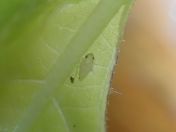 020.jpg - 2018:09:05 02:51:45